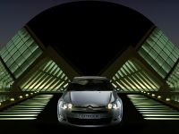 Citroen C5 (2008) - picture 1 of 14