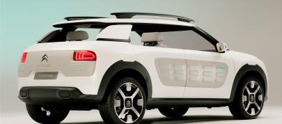 Citroen Cactus Concept (2013) - picture 4 of 32