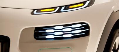 Citroen Cactus Concept (2013) - picture 20 of 32