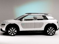 Citroen Cactus Concept (2013) - picture 3 of 32