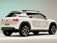 Citroen Cactus Concept (2013) - picture 4 of 32