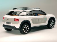 Citroen Cactus Concept (2013) - picture 5 of 32