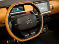 Citroen Cactus Concept (2013) - picture 7 of 32