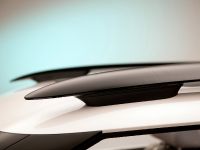 Citroen Cactus Concept (2013)