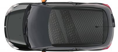 Citroen DS 3 DSign Noire by Benefit (2014) - picture 4 of 5