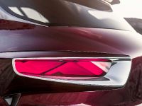 Citroen DS Wild Rubis Concept (2013) - picture 6 of 7