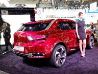 Citroen DS Wild Rubis Frankfurt (2013)