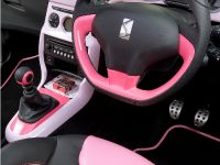 Citroen DS3 by Benefit (2013)