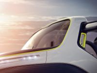 Citroen Lacoste Concept (2010)