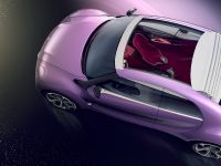 Citroen REVOLTe Concept (2009) - picture 7 of 10