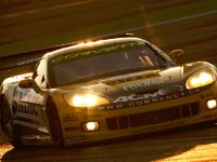 Corvette in Fia GT1 Race at Adria (2008) - picture 2 of 3