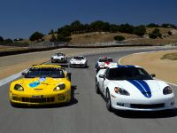 Chevrolet Corvette Racing  Le Mans 50th Anniversary (2010)