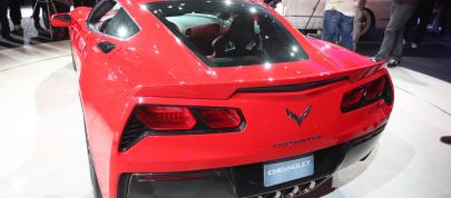Corvette Stingray Detroit (2013) - picture 7 of 12