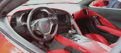 Corvette Stingray Detroit (2013) - picture 12 of 12