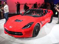 Corvette Stingray Detroit (2013) - picture 1 of 12