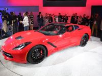 Corvette Stingray Detroit (2013) - picture 3 of 12