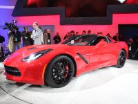 Corvette Stingray Detroit (2013) - picture 4 of 12