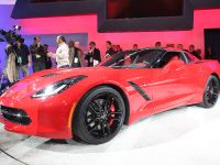 Corvette Stingray Detroit (2013) - picture 5 of 12