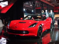 Corvette Stingray Detroit (2013)