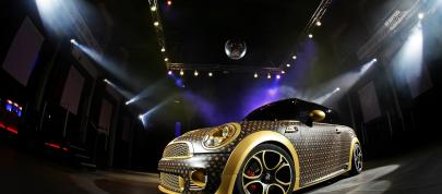 CoverEFX MINI Cooper Works (2011) - picture 4 of 18