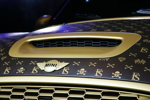 CoverEFX MINI Cooper Works (2011) - picture 8 of 18
