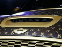 CoverEFX MINI Cooper Works (2011)