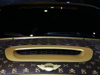 CoverEFX MINI Cooper Works (2011)