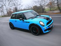 CoverEFX Mini Cooper (2011) - picture 1 of 10