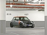CoverEFX MINI R53 Project One (2011) - picture 2 of 12