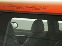 CoverEFX MINI R53 Project One (2011)