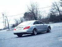 D2Forged Mercedes Benz CLS-550 FMS-05 (2012) - picture 5 of 8