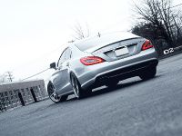 D2Forged Mercedes Benz CLS-550 FMS-05 (2012) - picture 6 of 8