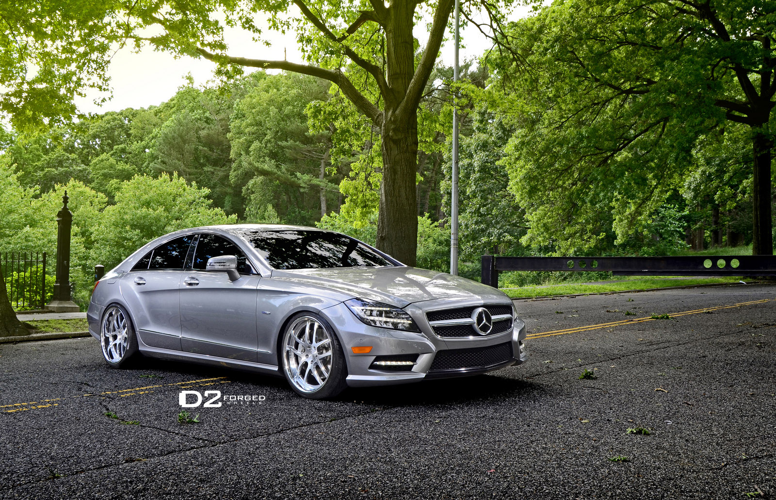 D2Forged Mercedes-Benz CLS-550 FMS08