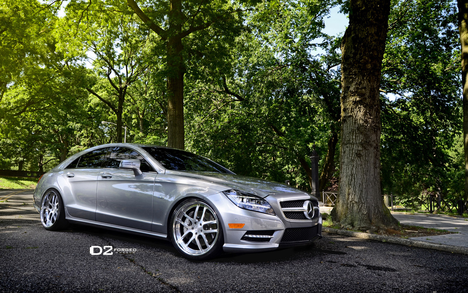 D2Forged Mercedes-Benz CLS-550 FMS08