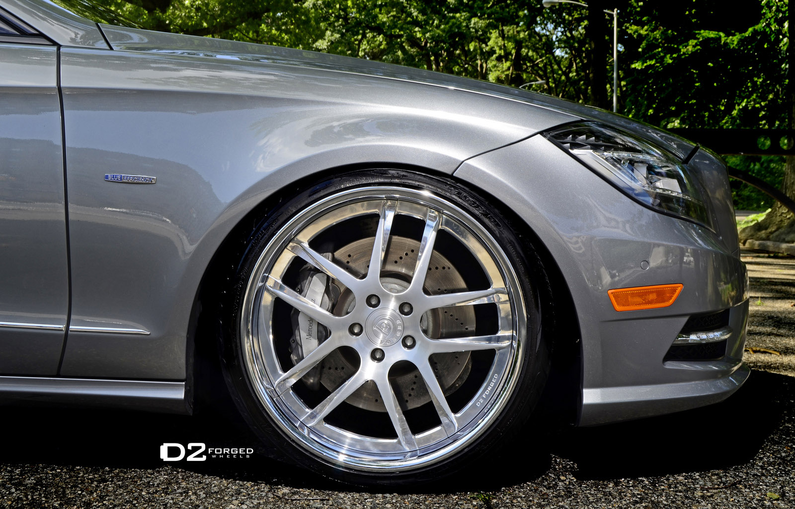 D2Forged Mercedes-Benz CLS-550 FMS08
