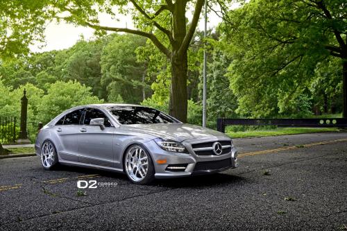 D2Forged Mercedes-Benz CLS-550 FMS08 (2013) - picture 1 of 13