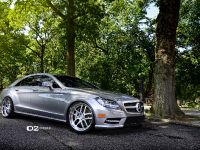 D2Forged Mercedes-Benz CLS-550 FMS08 (2013) - picture 2 of 13