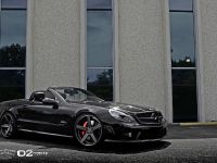 D2Forged Mercedes-Benz SL63 AMG CV2 (2013) - picture 3 of 14