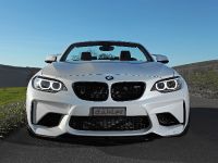 Dahler Design BMW M2 (2016) - picture 1 of 20