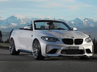 Dahler Design BMW M2 (2016) - picture 2 of 20