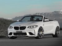 Dahler Design BMW M2 (2016) - picture 3 of 20