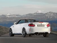 Dahler Design BMW M2 (2016)