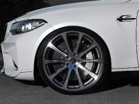 Dahler Design BMW M2 (2016)