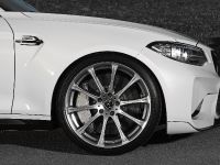 Dahler Design BMW M2 (2016)