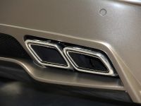 DD Customs Mercedes-Benz SLS AMG (2014)