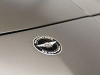 DD Customs Mercedes-Benz SLS AMG (2014)