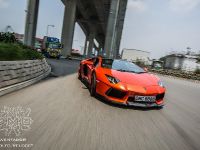 DMC Lamborghini Aventador LP-900 (2012) - picture 5 of 18