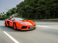 DMC Lamborghini Aventador LP-900 (2012) - picture 14 of 18