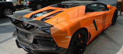 DMC Lamborghini Aventador LP700-4 Roadster SV (2013) - picture 4 of 8