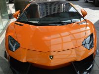 DMC Lamborghini Aventador LP700-4 Roadster SV (2013) - picture 1 of 8